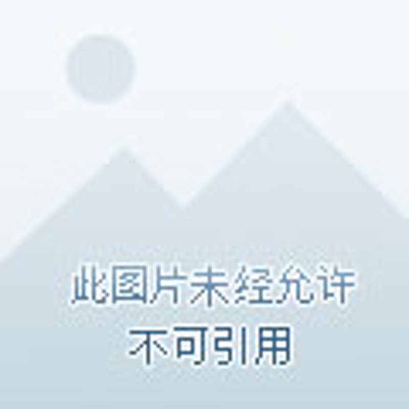 旅游开发公司的未来趋势与机遇